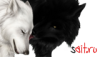 888000789.png