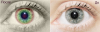13362339671.png