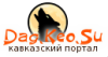 13377450561.png