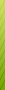name.gif