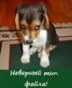img_not_found.jpg