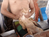 1400483708_005.gif