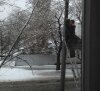 1429697586internet.jpg