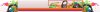 1455726843wrapper-bg.jpg