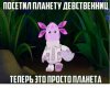 1492216408.jpg