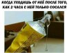 kcanqaj-gee.jpg